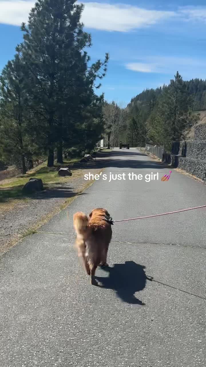 @LennyAndMaple
