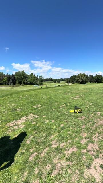 @camcoughlingolf
