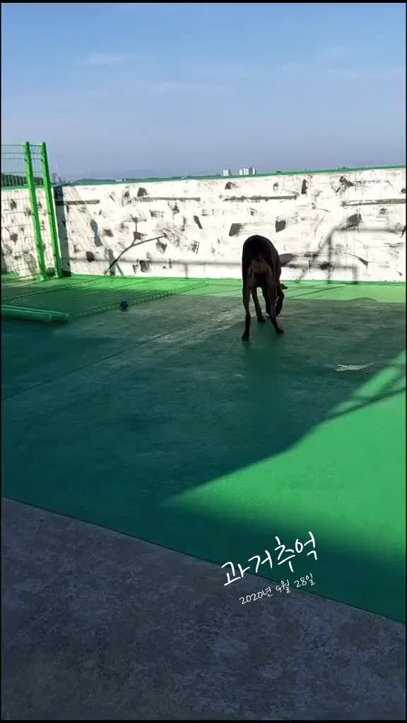 @익스모빌/김동석