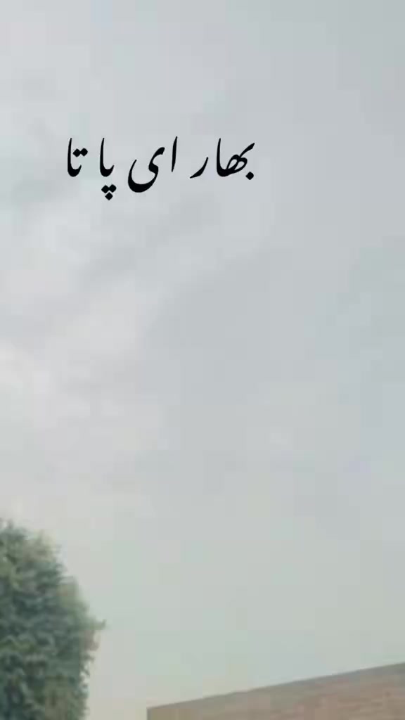 @Qasim07