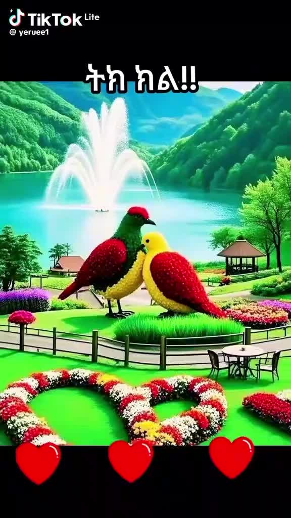 @rumiyaa2030@gmail.com