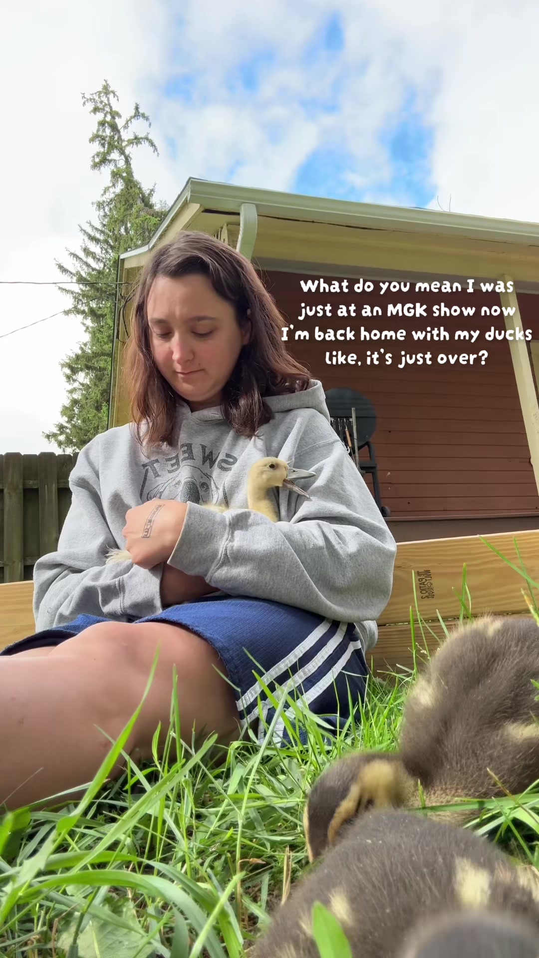 @mel