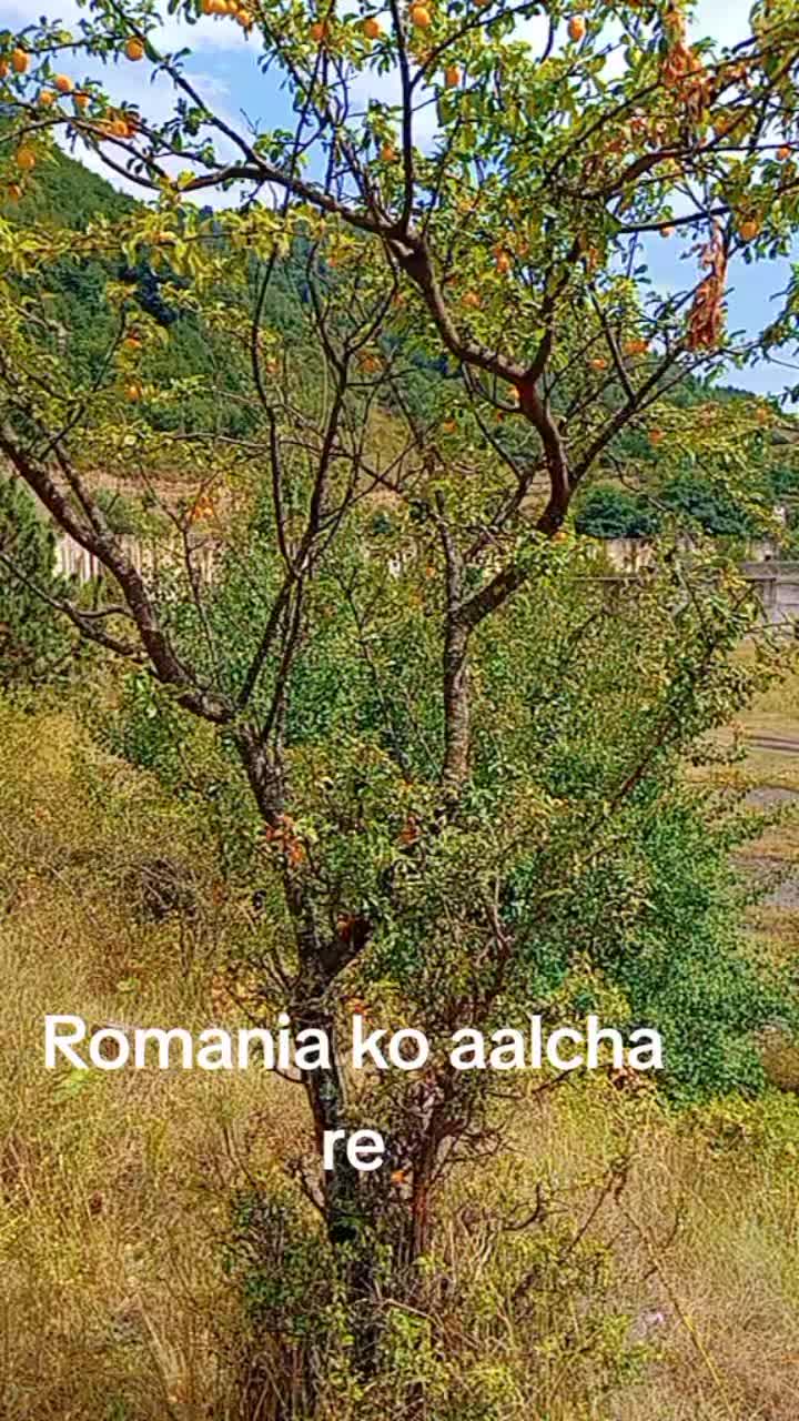 @bhupendra🇳🇵🇷🇴