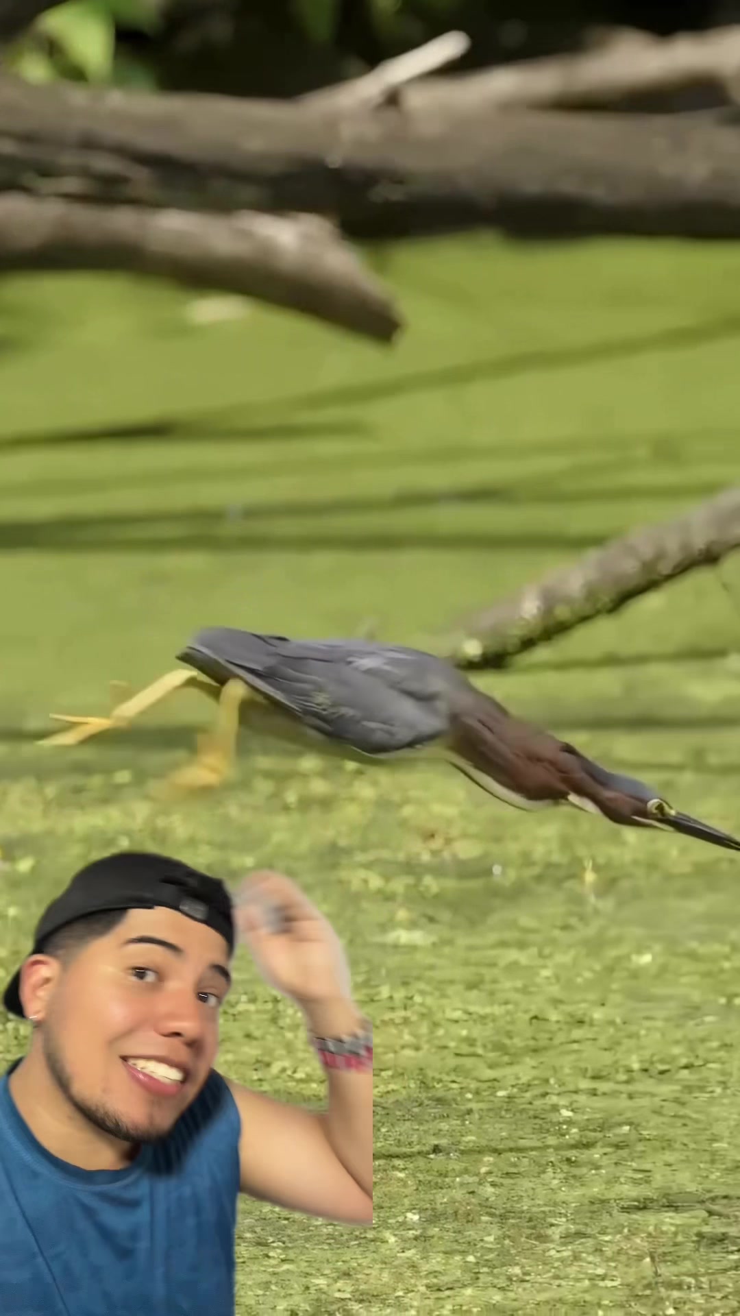 @Soy Sebassalvaje (d&uacute;os)