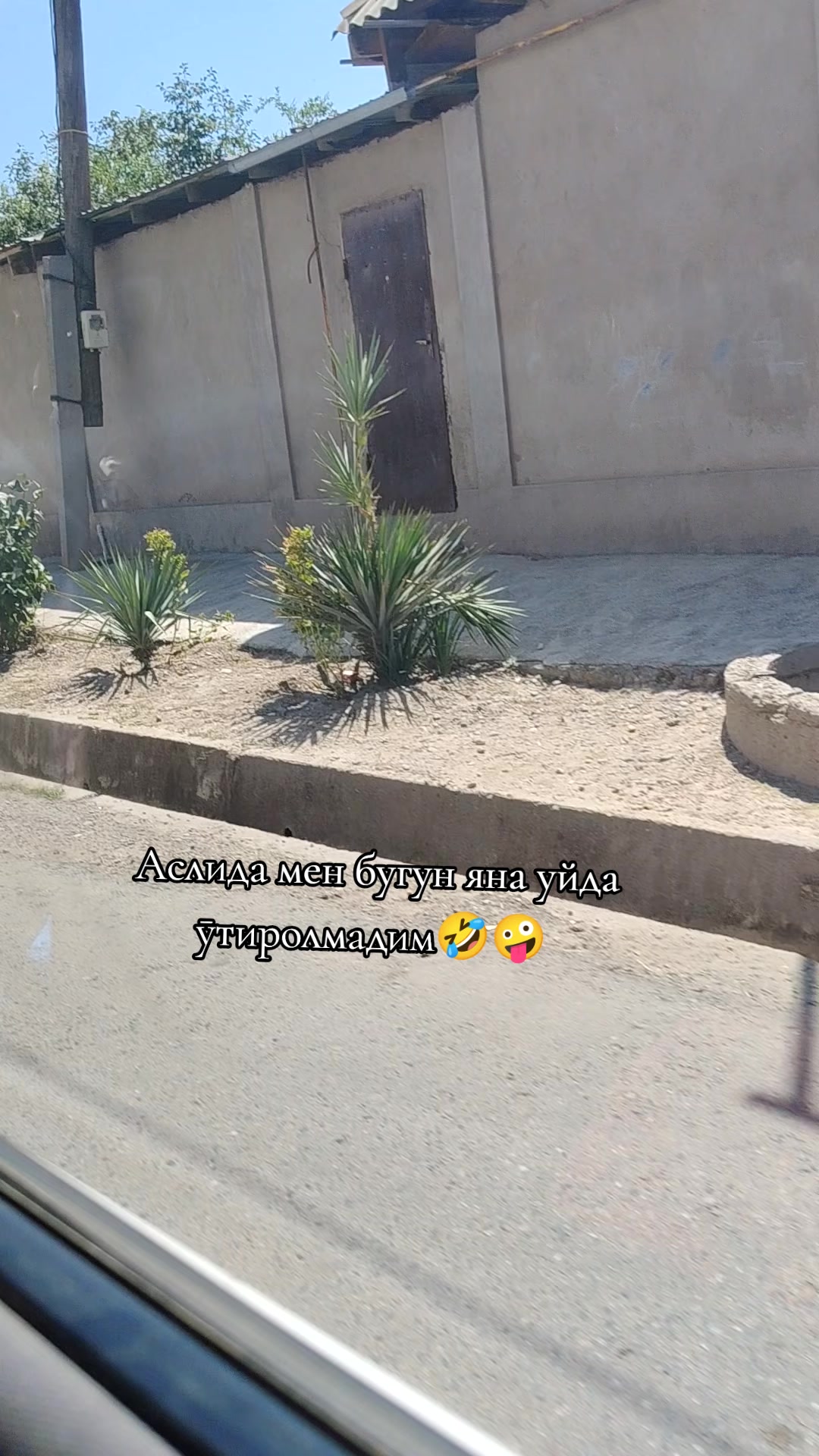 @alieva🤍
