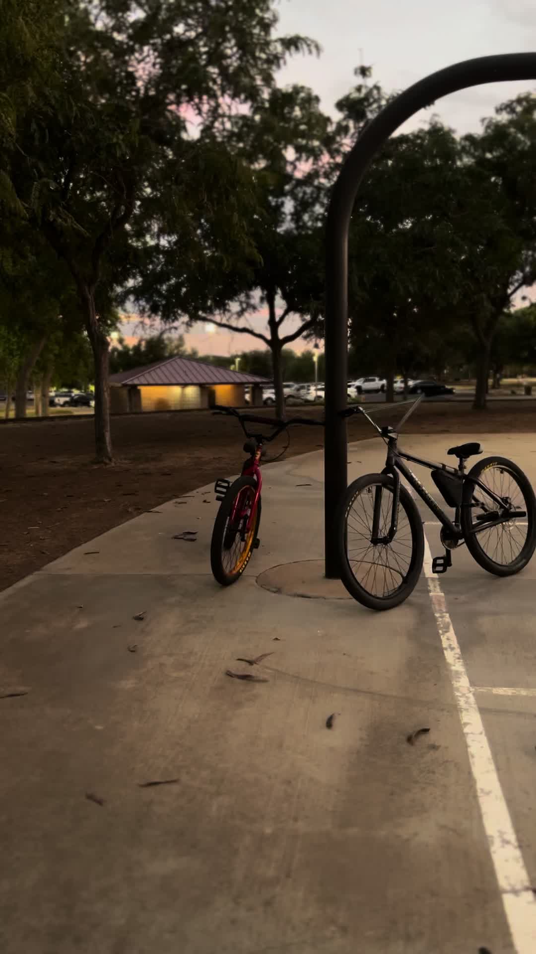 @Lilporkjr3