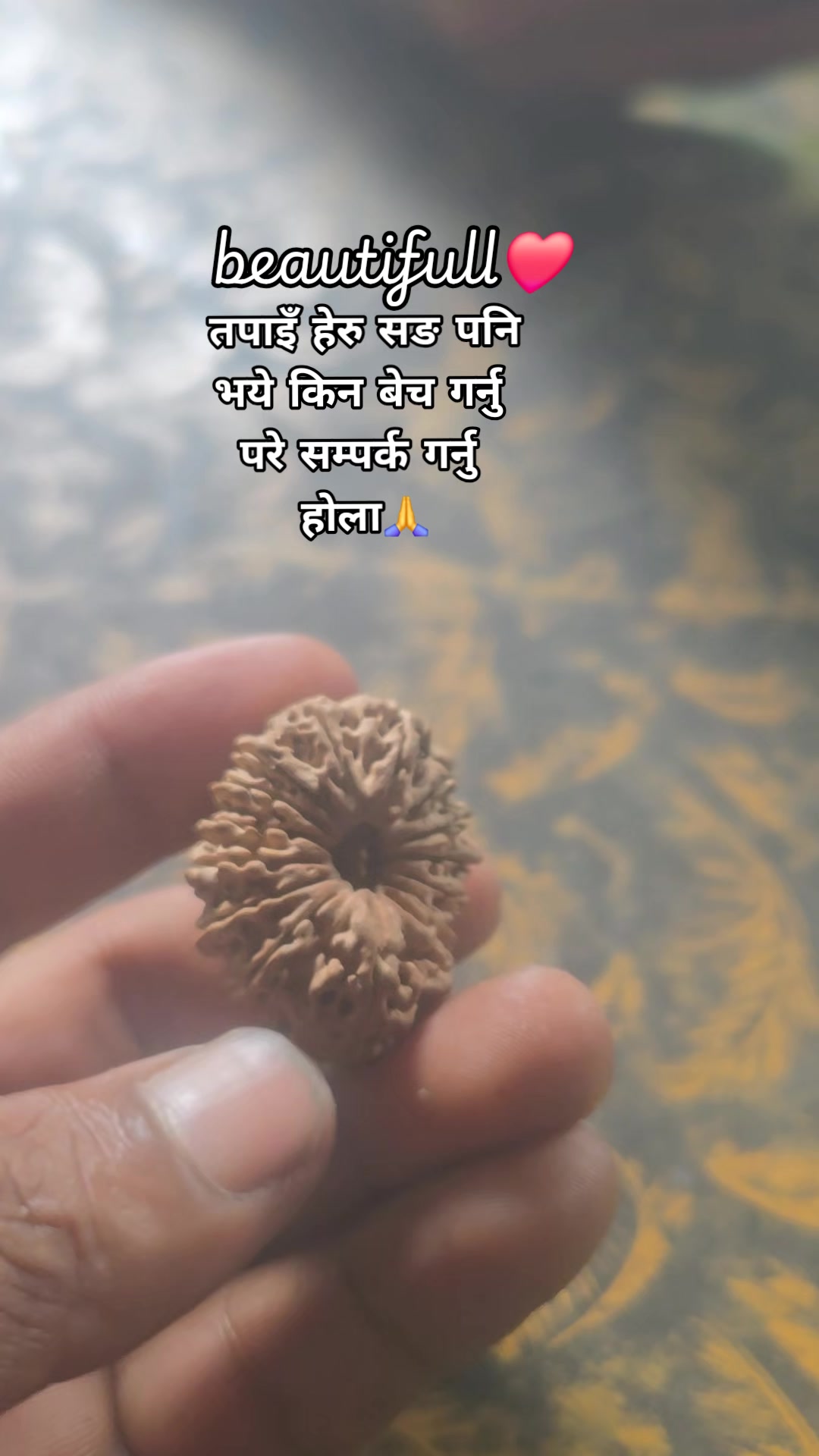@pradip shrestha