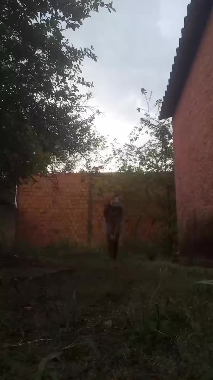 @ᯓ★𝐌♱𝐥𝐤𝐚_𝐒𝐭𝐚𝐫𝐬𓆈🍃