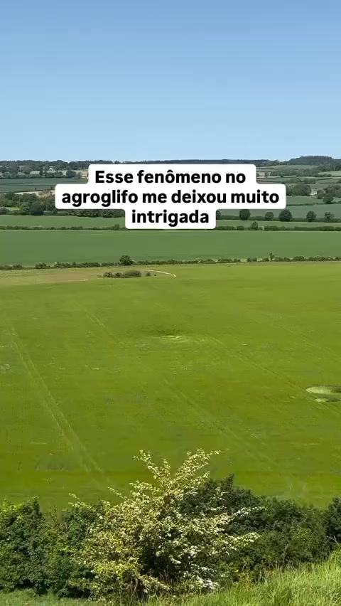 @Elly Fernandes
