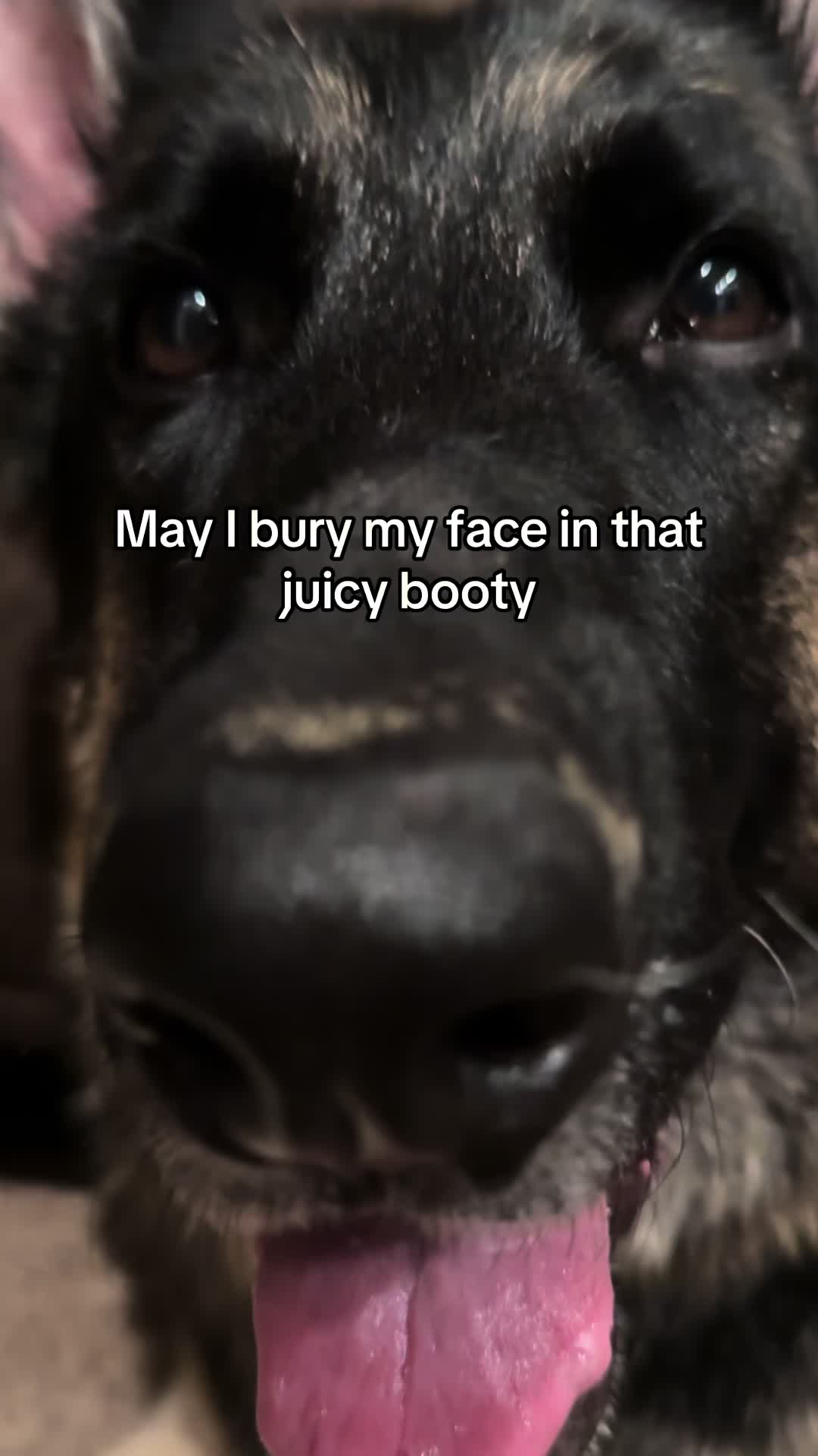 @Bhris