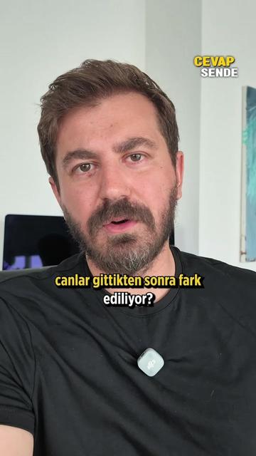 @CevapSende