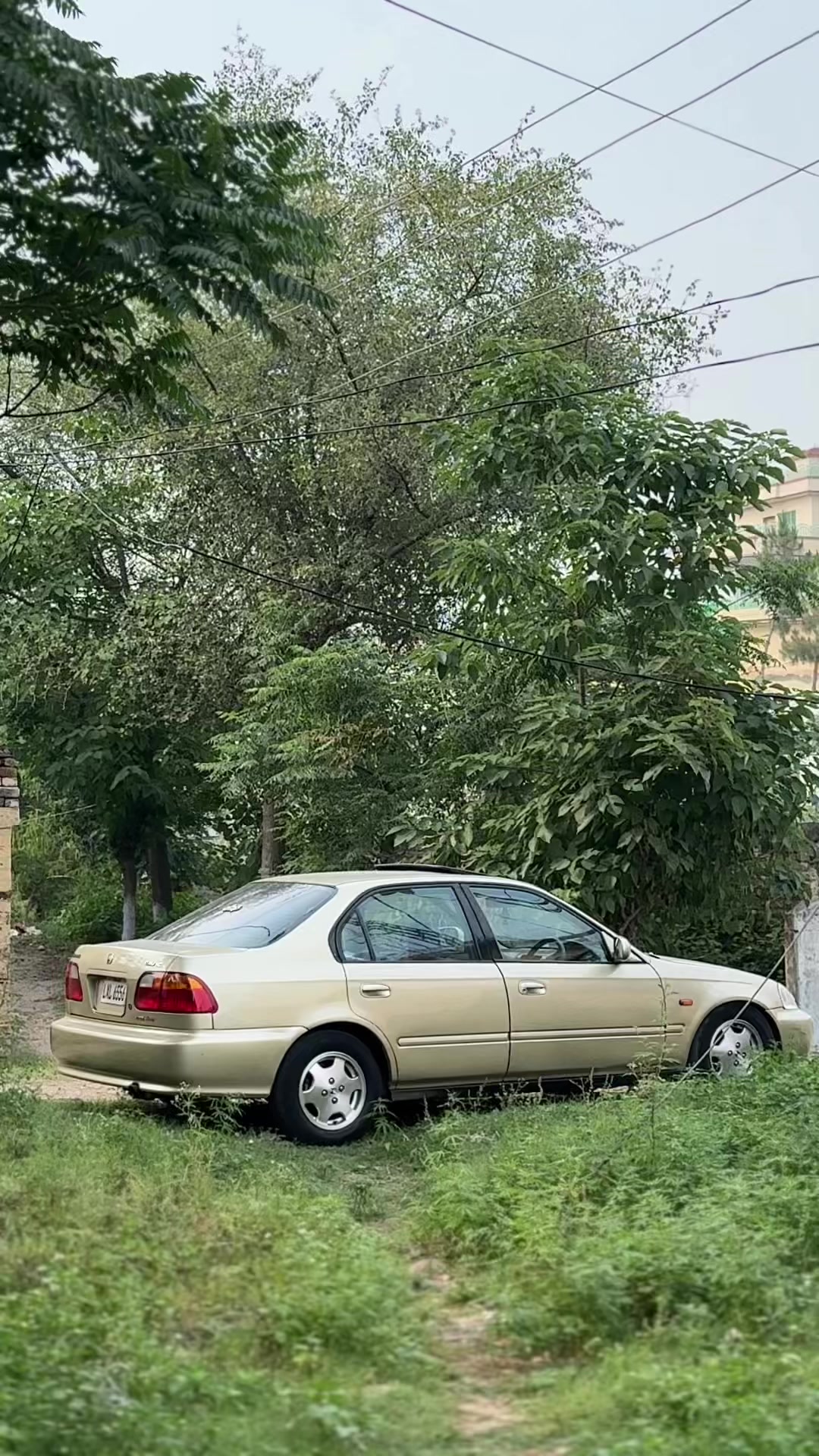 @محمد اسامہ قریشی🔹