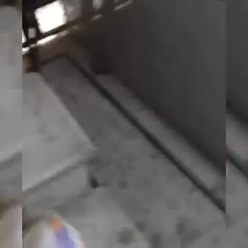 @Malvve da J&Atilde;TT