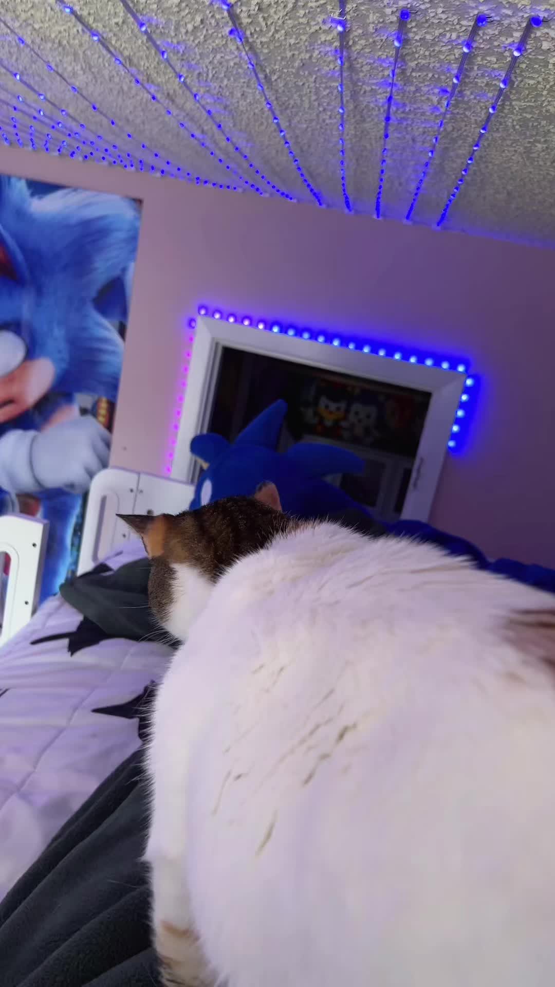 @xox_nerdynikki_xox