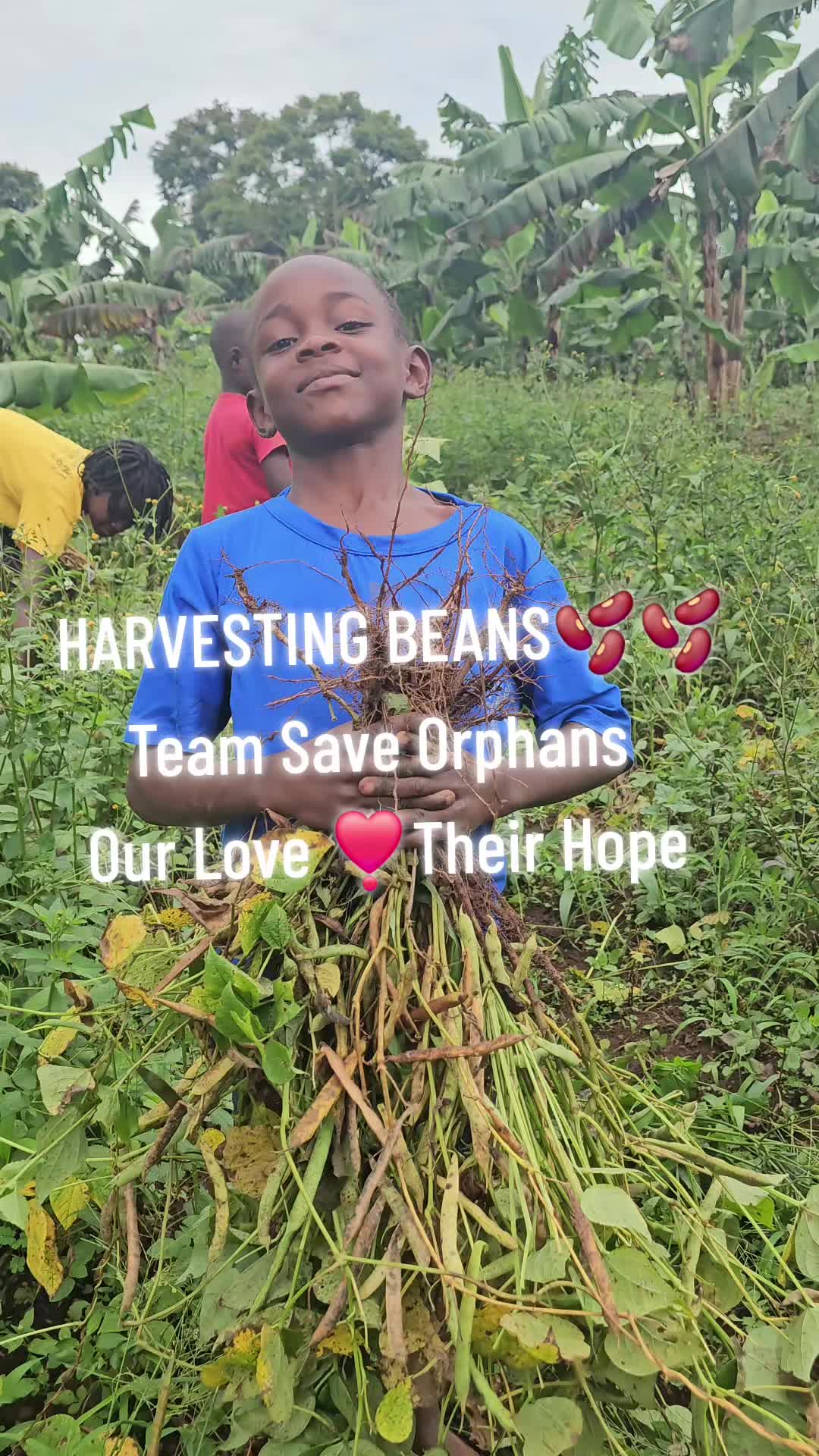 @TEAM SAVE ORPHANS