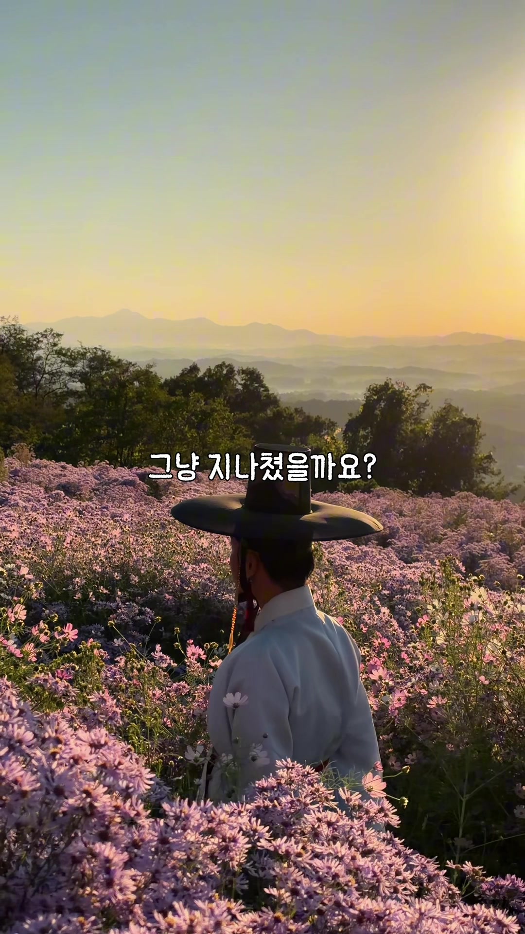 @traveler_jin