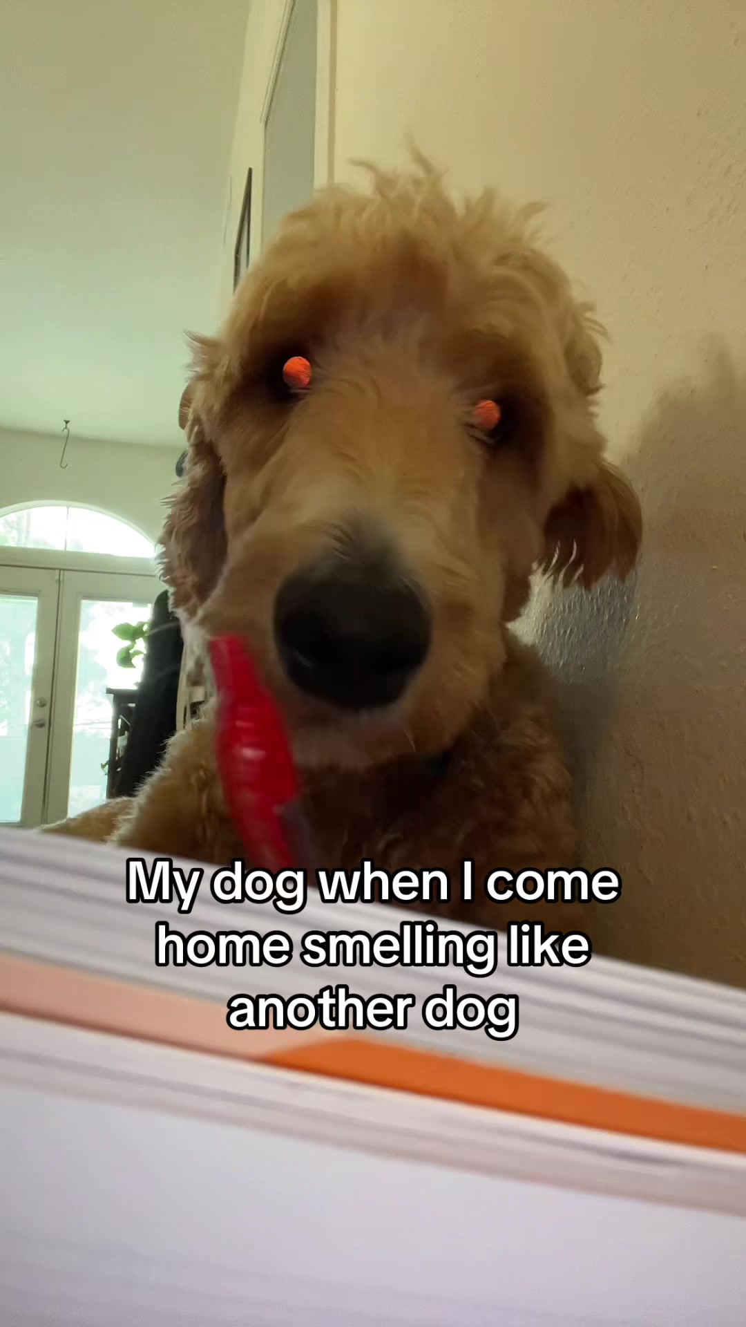 @Mia Starr
