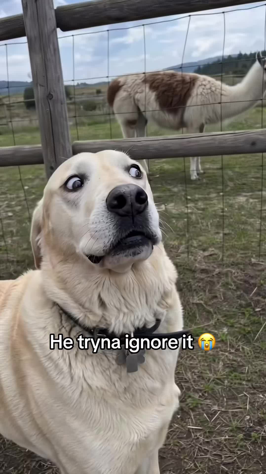 @Tim