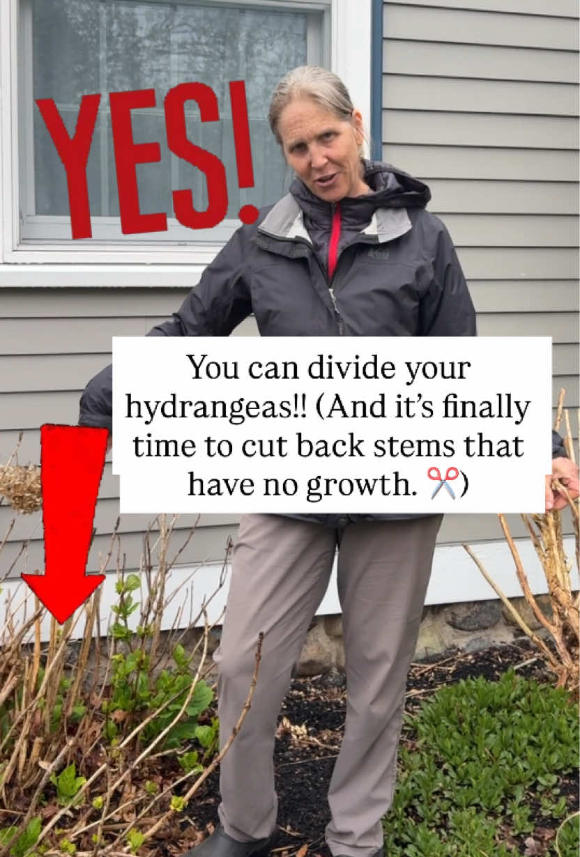 @You Can Do It Gardening