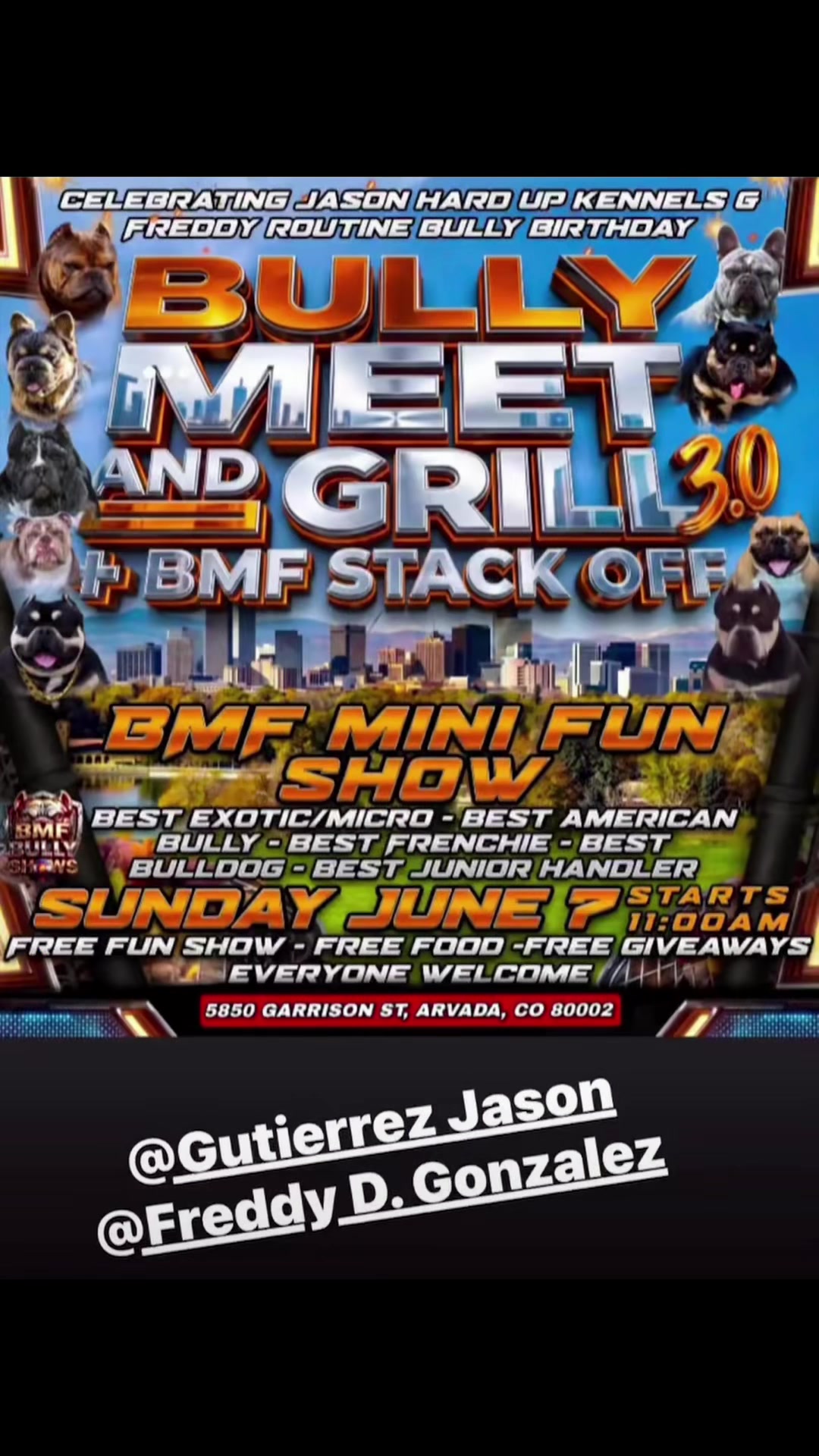 @steelforgedbullies