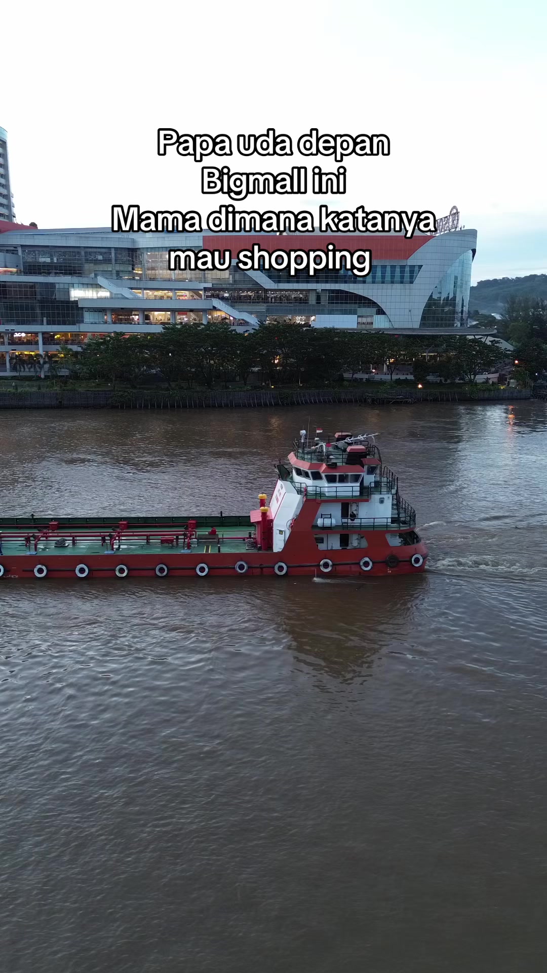 @Pesut_Mahakam95🐳