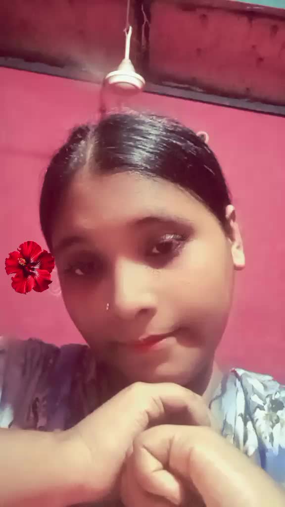 @wajihaislamjui369