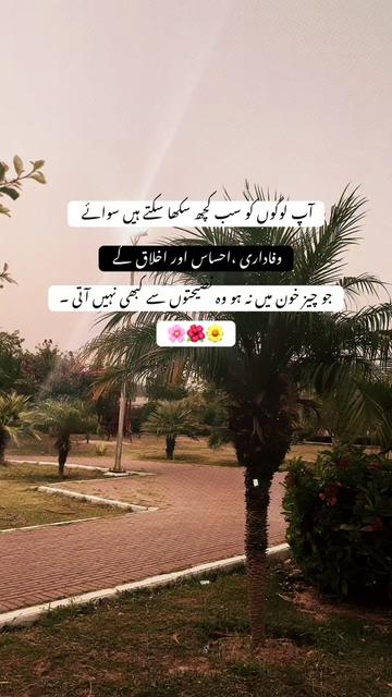 @diya chudary