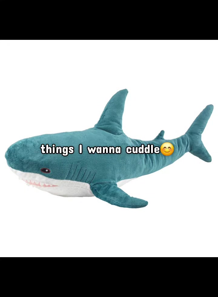 @munchkincatboy