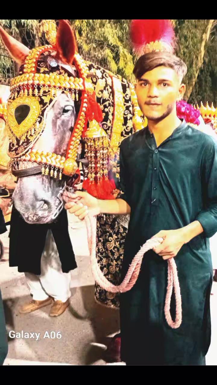 @wahab Ali 786