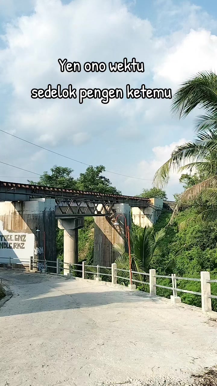 @Leida Zinc