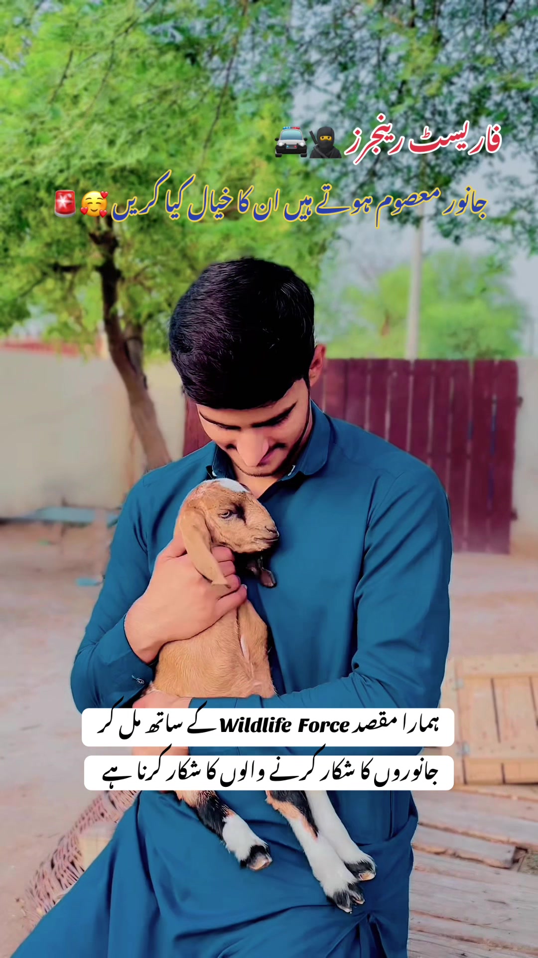 @Hussain Sukhera