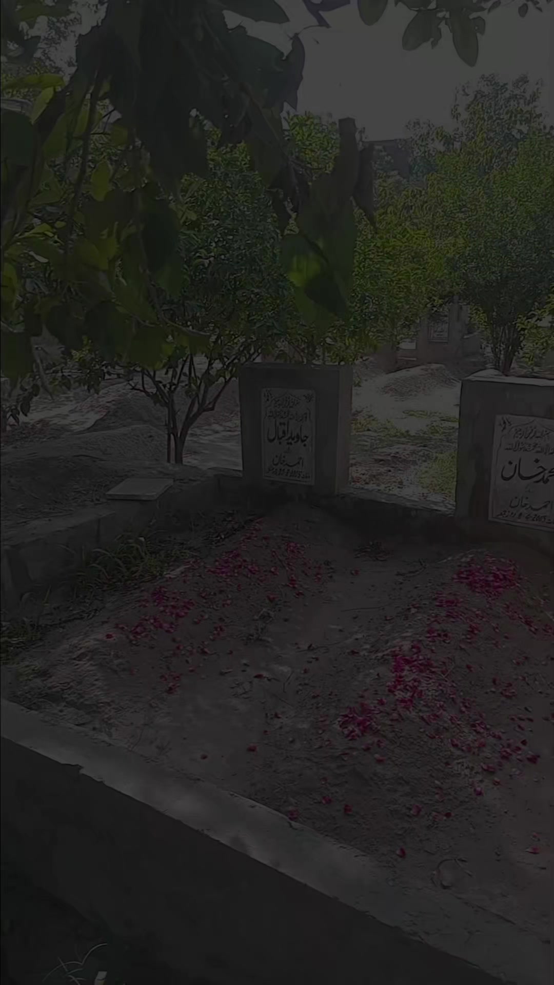 @A R BHATTI