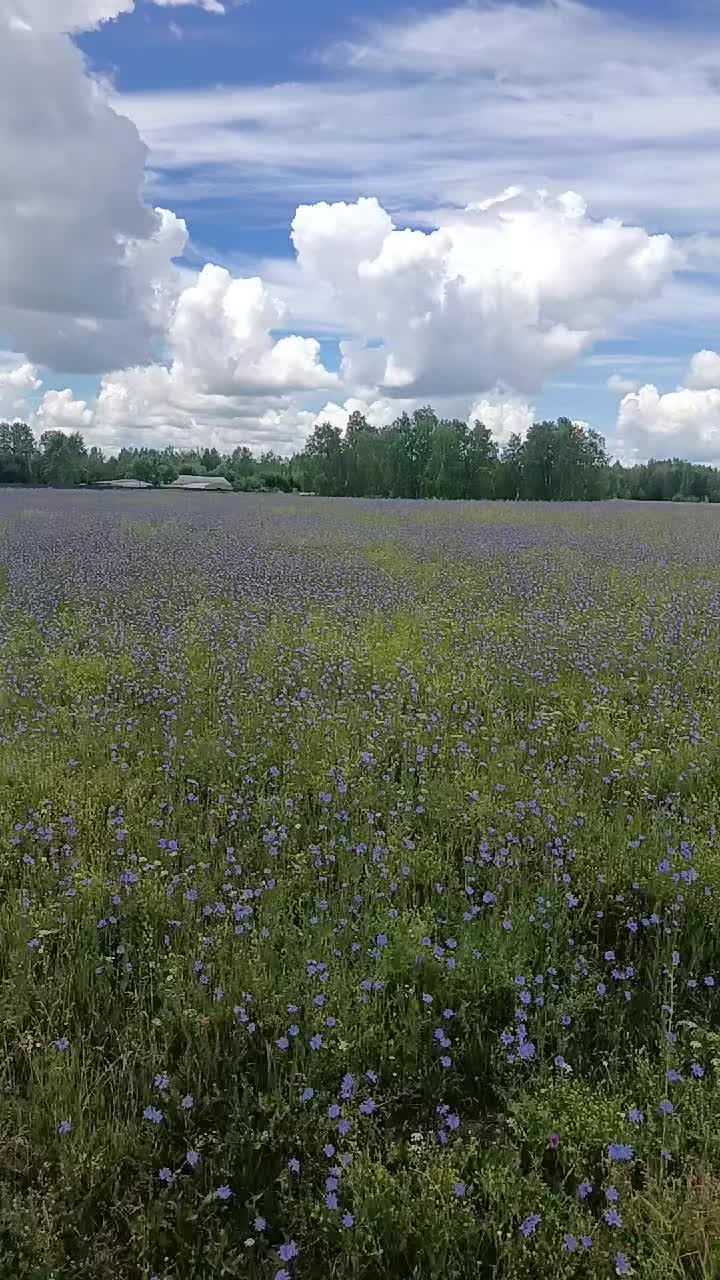 @55 Николайхрамов✌️✌️
