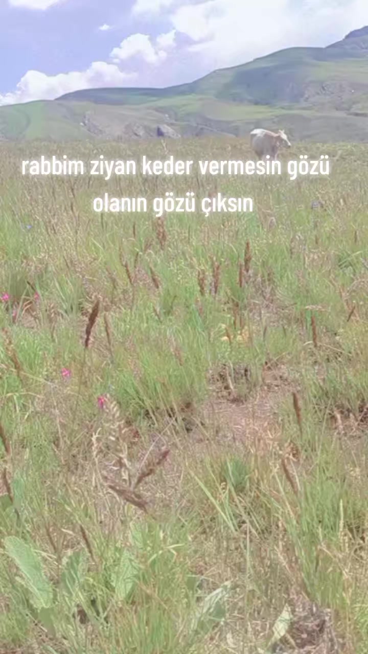 @🕊️AZAD CAN BAKIR 🕊️3636🕊️