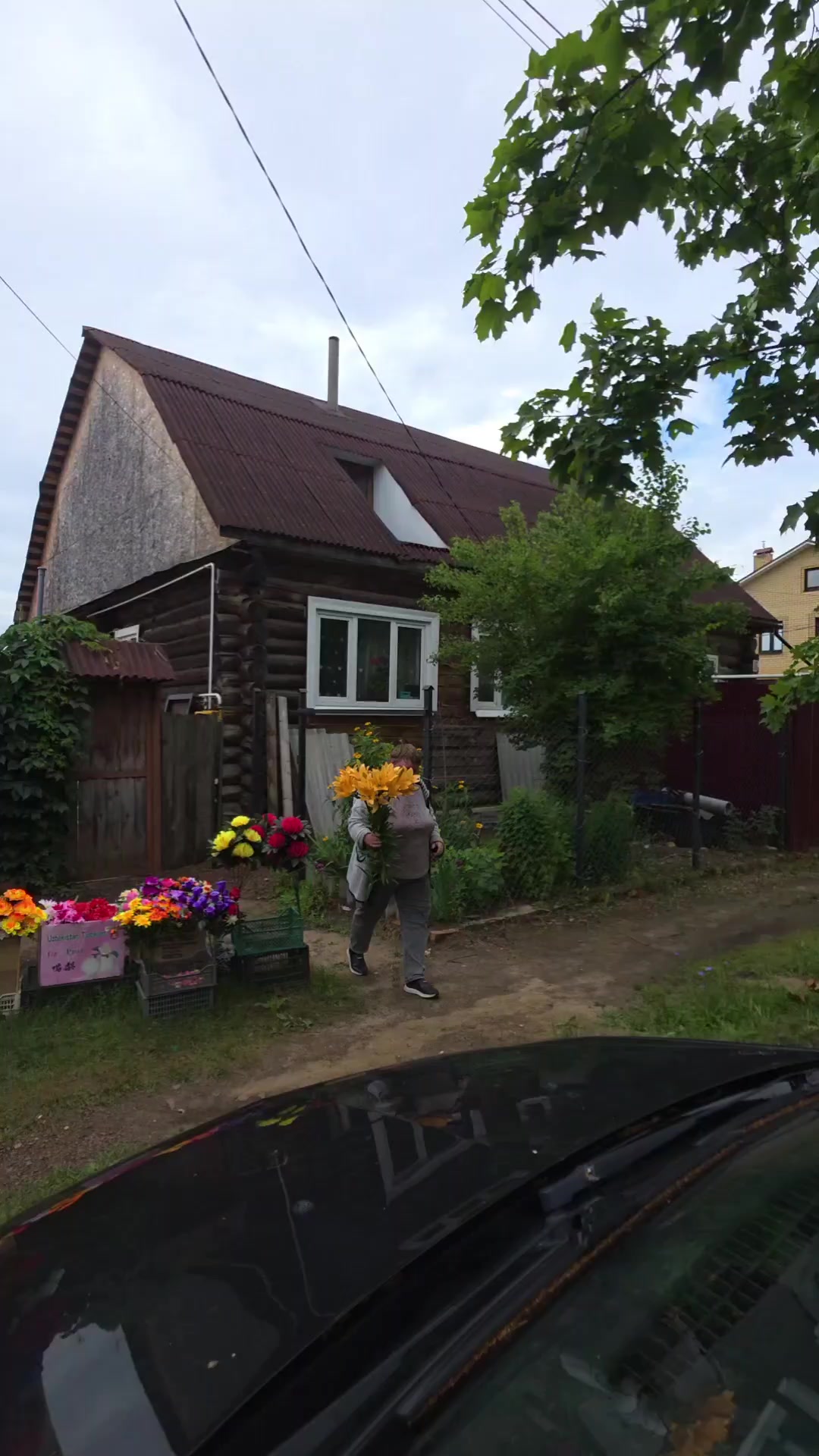 @gribkovkonstantin771Катя