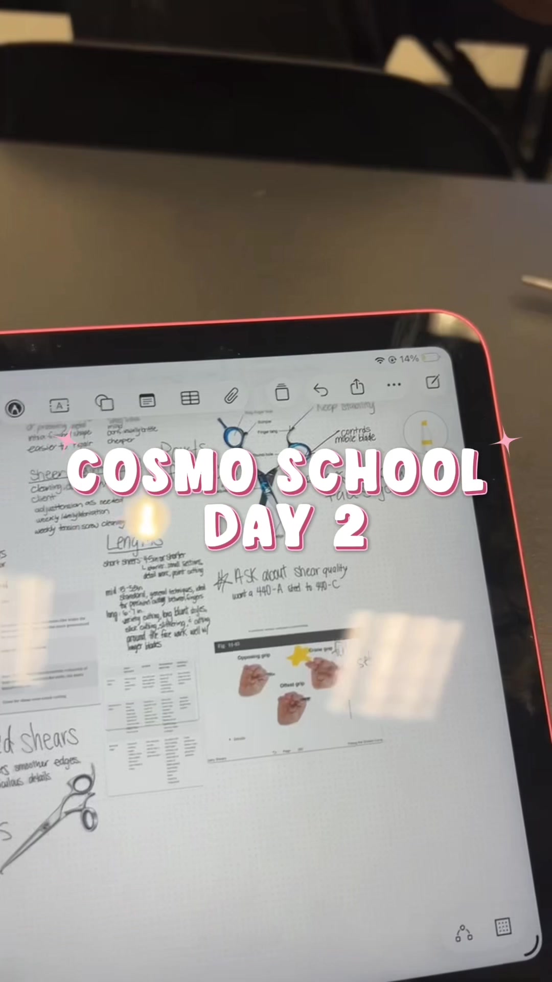 @julia dwyer | COSMO STUDENT