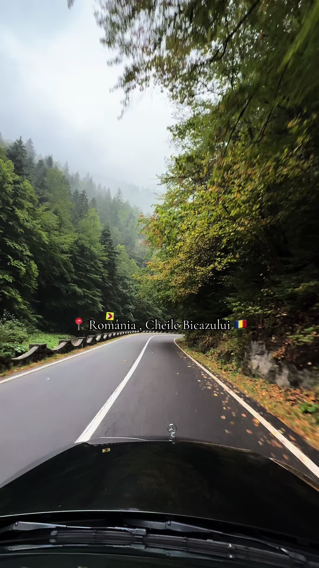 @𝗥𝗮𝗱𝘂 𝗠𝗶𝗵𝗮𝗶𝗹