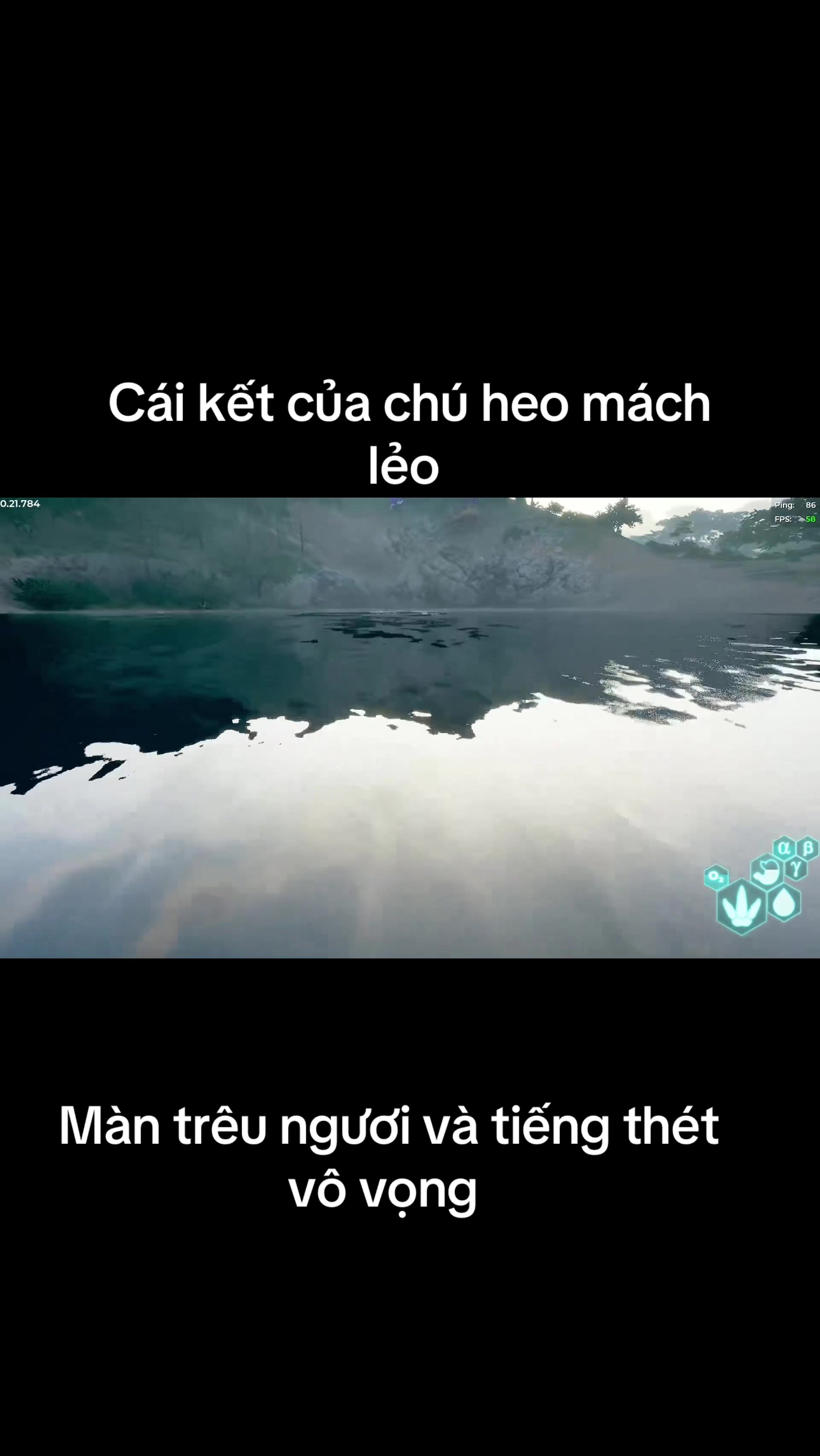 @Apple Meo Meo