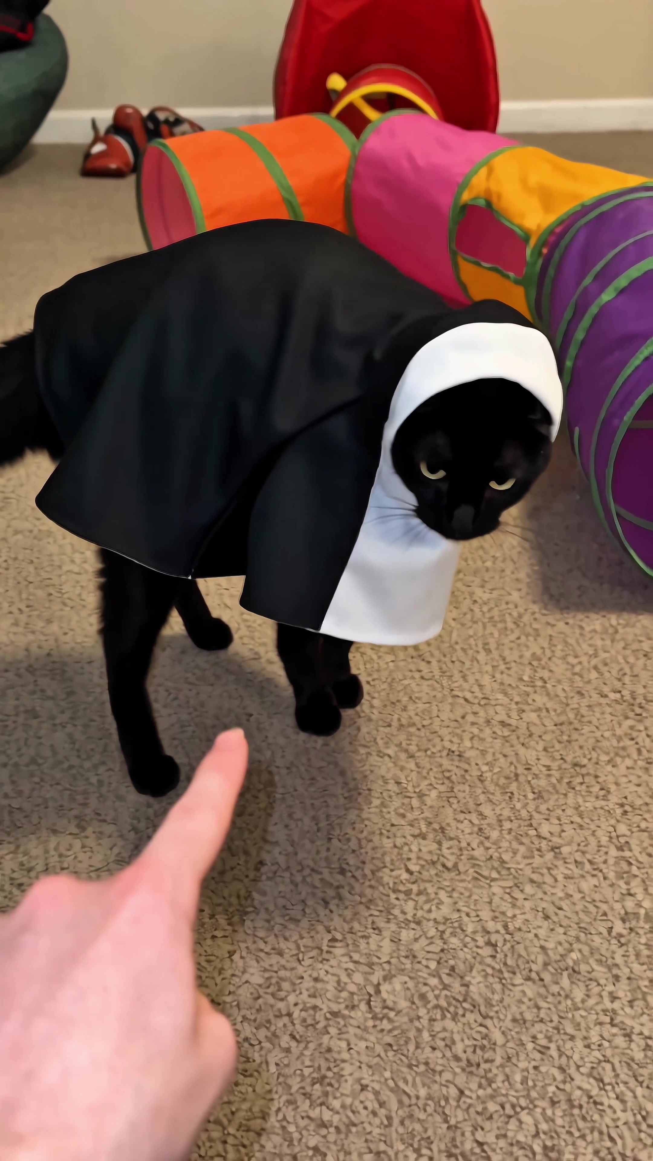 @Pawloween