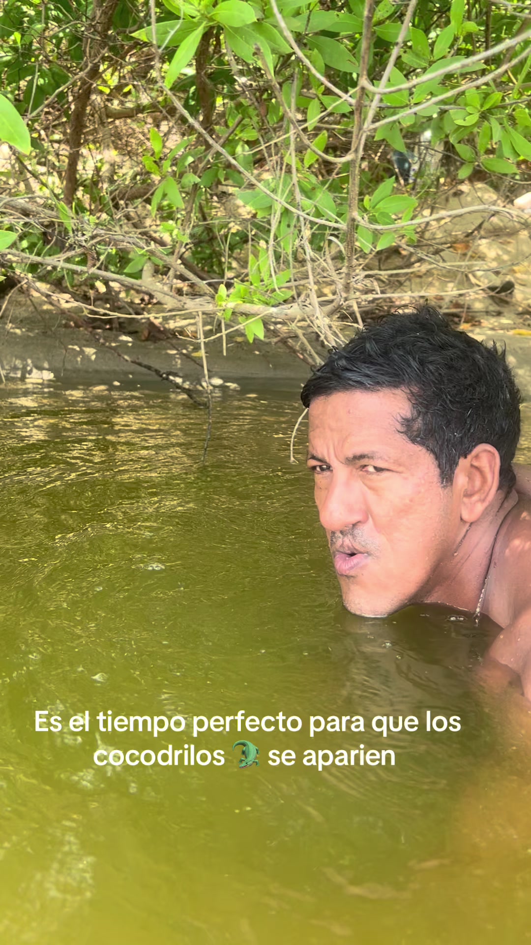 @El &Ntilde;ato Oscar