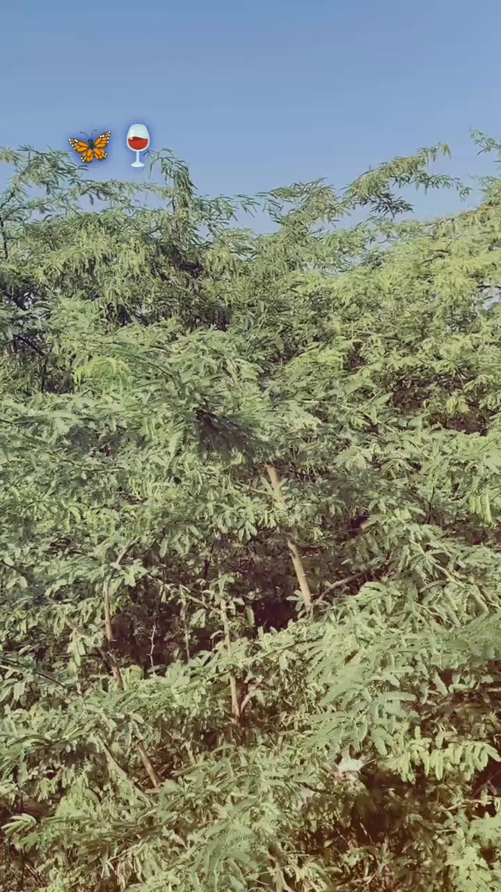@🥀مســـــــــــکان خــــــان🥀