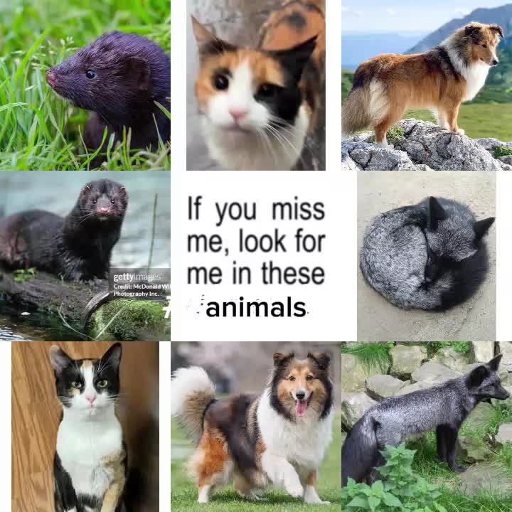 @⧼•∘₵ค𐌋เ͔͖̜̉͌ςØ_өҋ_ฬђєєᥣɀ˙∘•⧽