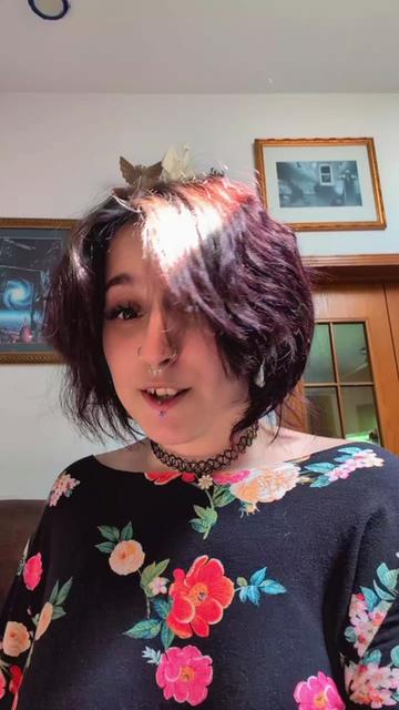 @DinoNuggetsRevenge