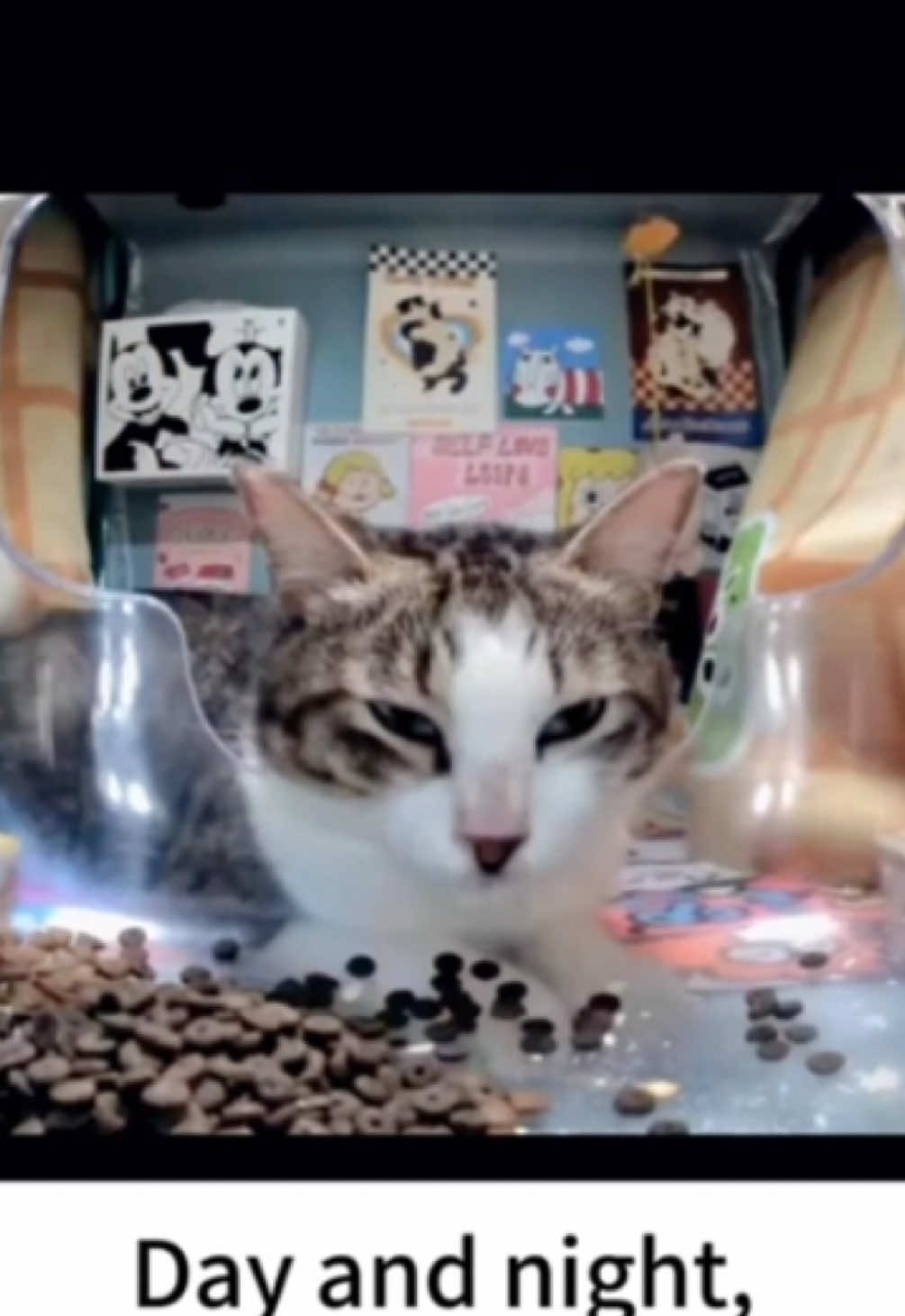 @Purrrr