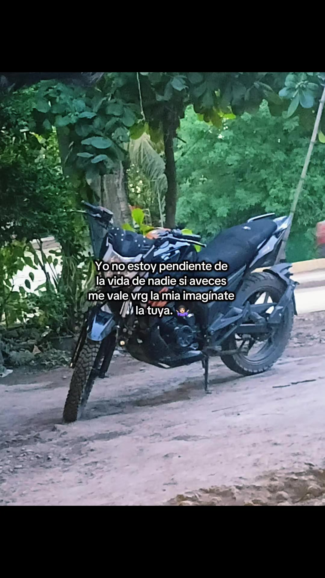 @vjsv