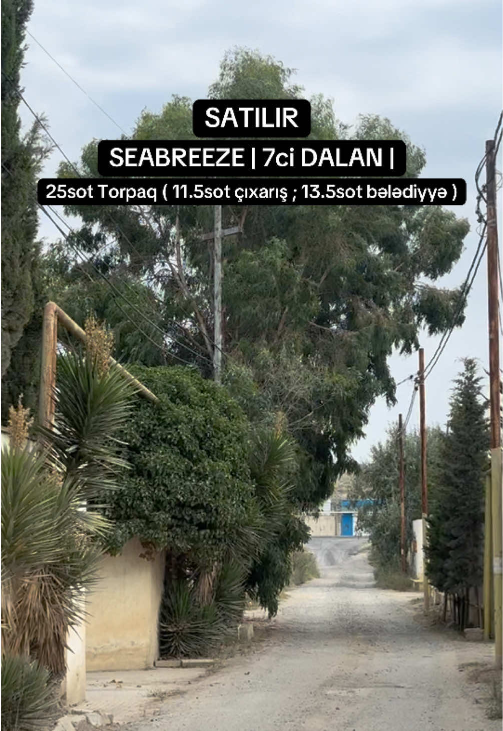@EvTorpaqAlqıSatqı