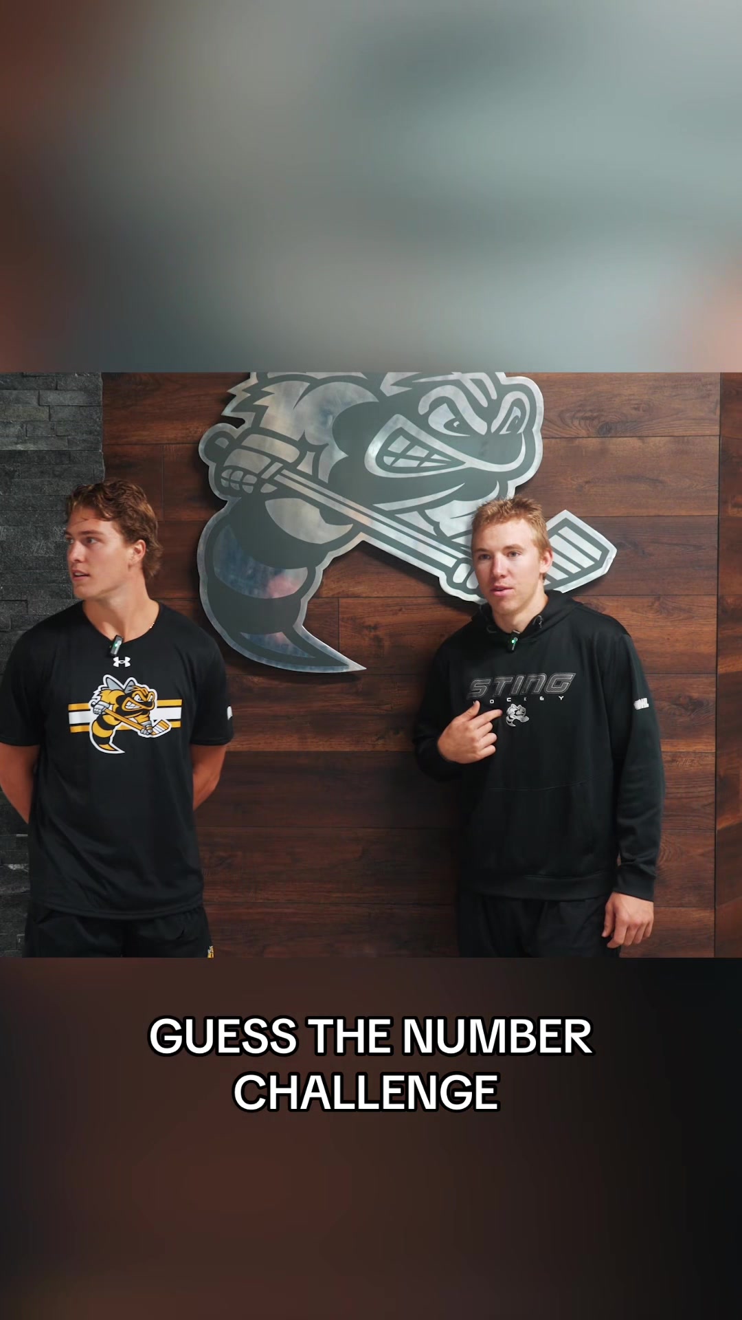 @Sarnia Sting