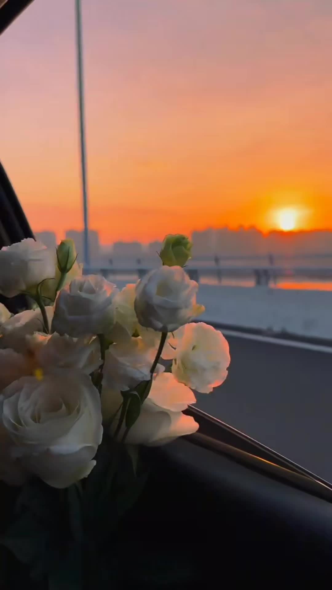 @Gunel❤️ ibrahimova10