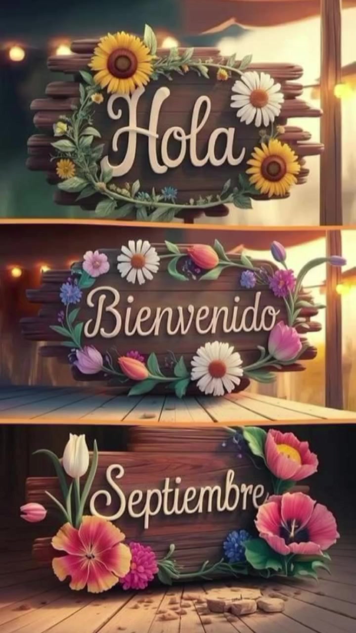 @Elyz🌷