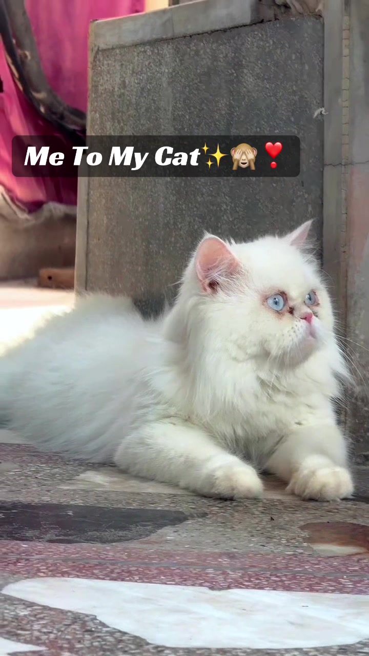 @AfaqChaudhry